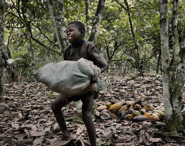 Ivory-Coast-Child-Worker.jpg