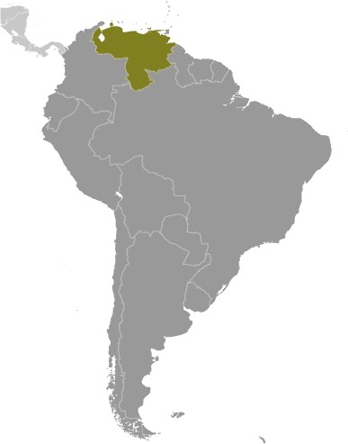 Map of South America with Venezuela indicated in green